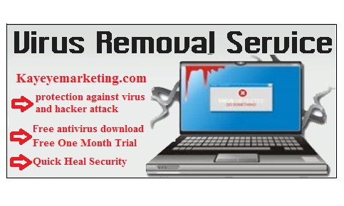 Virus removal Service